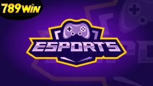 789win-the-thao-dien-tu