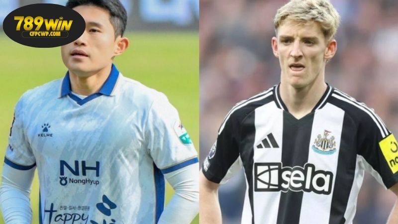 Nhận định bóng đá Ngôi sao Hàn Quốc vs Newcastle, 18h00 ngày 30/7, chích chòe giải tỏa 1 Thông tin lực lượng Ngôi sao Hàn Quốc vs Newcastle mới nhất