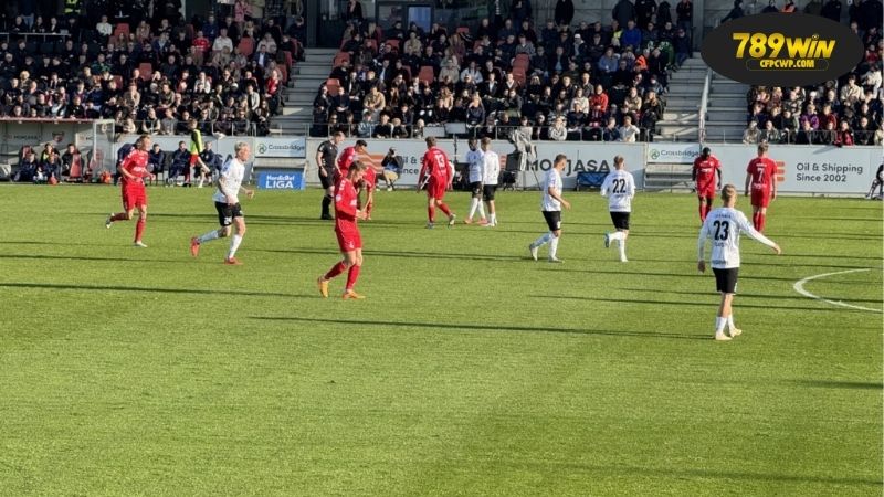 Soi kèo bóng đá Fredericia vs Vejle, 00h00 ngày 16/9, khi gà thành đại bàng 1 Thông tin lực lượng Fredericia vs Vejle mới nhất